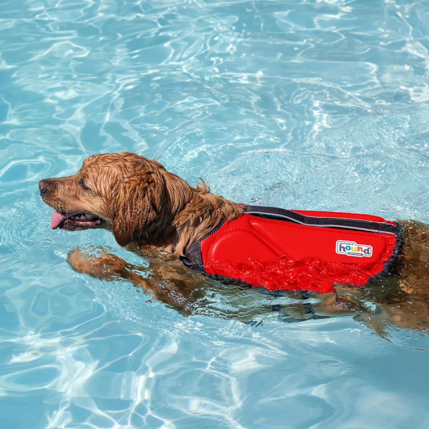 Outward Hound Dawson Swim Dog Life Jacket, High-Performance Neoprene Dog Life Vest for Swimming, Boating, and Water Safety, XL, Red